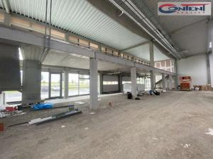 Pronájem obchodního prostoru, Praha - Malešice, Tiskařská, 1021 m2