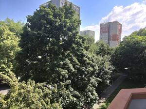 Prodej bytu 3+1, Otrokovice, SNP, 65 m2
