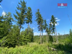 Prodej lesa, Kropáčova Vrutice - Sušno, 15167 m2