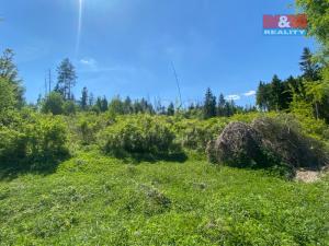 Prodej lesa, Kropáčova Vrutice - Sušno, 15167 m2