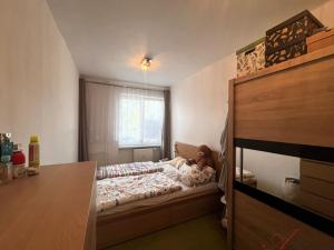 Pronájem bytu 2+1, Ostrava - Poruba, Gen. Sochora, 54 m2