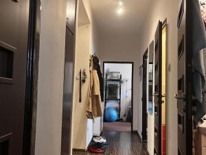 Pronájem bytu 2+1, Ostrava - Poruba, Gen. Sochora, 54 m2