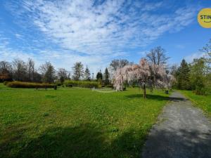 Prodej rodinného domu, Moravský Beroun, Horní, 173 m2