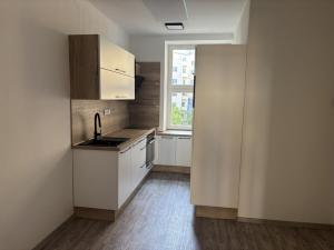 Pronájem bytu 1+kk, Praha - Nusle, Družstevní, 38 m2