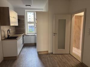 Pronájem bytu 1+kk, Praha - Nusle, Družstevní, 38 m2