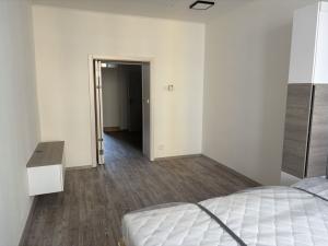 Pronájem bytu 1+kk, Praha - Nusle, Družstevní, 38 m2