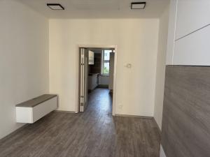 Pronájem bytu 1+kk, Praha - Nusle, Družstevní, 38 m2