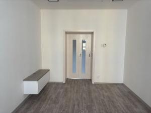 Pronájem bytu 1+kk, Praha - Nusle, Družstevní, 38 m2