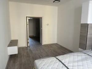 Pronájem bytu 1+kk, Praha - Nusle, Družstevní, 38 m2