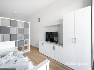 Pronájem bytu 1+kk, Praha - Kyje, Za černým mostem, 27 m2