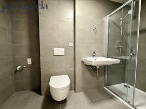 Pronájem bytu 1+kk, Brno, Bystrcká, 26 m2