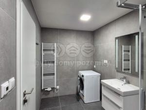Pronájem bytu 2+kk, Plzeň - Litice, 53 m2