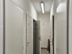 Pronájem bytu 2+kk, Plzeň - Litice, 53 m2