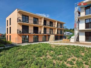 Pronájem bytu 2+kk, Plzeň - Litice, 53 m2