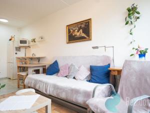 Prodej bytu 2+kk, Praha - Řepy, Mrkvičkova, 34 m2