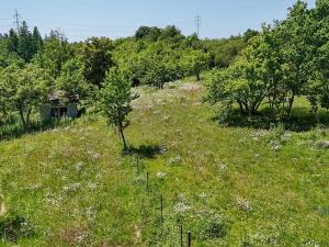 Prodej zahrady, Praha - Dolní Chabry, 10599 m2