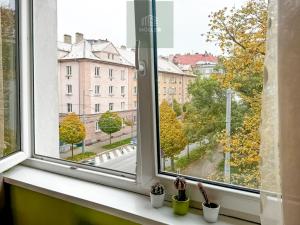 Pronájem bytu 2+kk, Plzeň, Guldenerova, 43 m2