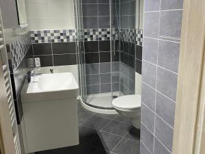 Pronájem bytu 1+kk, Pelhřimov, Habrová, 28 m2