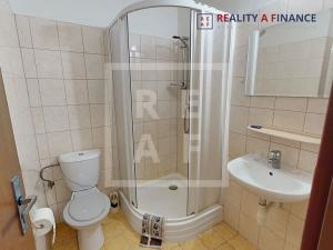 Prodej vily, Železná Ruda, 441 m2