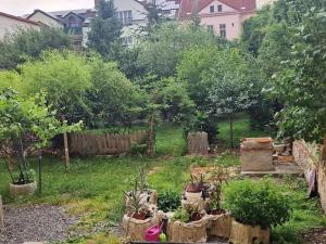 Pronájem bytu 3+1, Plzeň, Mikulášské náměstí, 100 m2