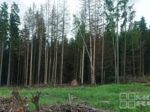 Prodej lesa, Městečko Trnávka - Lázy, 42338 m2