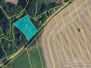 Prodej lesa, Městečko Trnávka - Lázy, 42338 m2