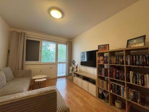 Pronájem bytu 2+kk, Ostrava - Hrabůvka, Provaznická, 49 m2
