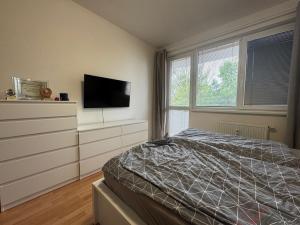 Pronájem bytu 2+kk, Ostrava - Hrabůvka, Provaznická, 49 m2