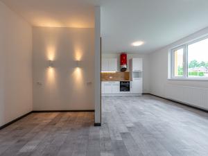Pronájem bytu 1+kk, Plzeň - Bolevec, Plaská, 51 m2