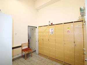 Prodej obchodního prostoru, Dýšina, Přátelství, 800 m2
