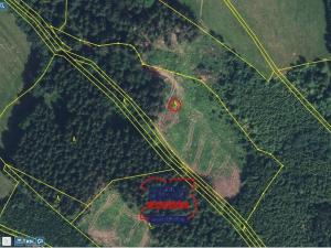 Prodej lesa, Svojek - Tample, 10149 m2