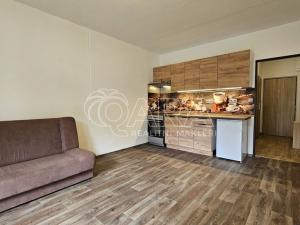 Pronájem bytu 1+kk, Trutnov - Střední Předměstí, Slévárenská, 29 m2