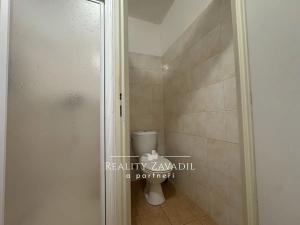 Prodej rodinného domu, Kozmice, K Točně, 368 m2