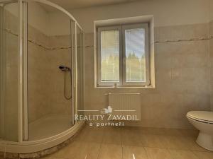 Prodej rodinného domu, Kozmice, K Točně, 368 m2