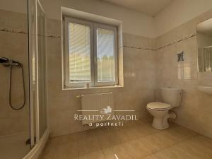 Prodej rodinného domu, Kozmice, K Točně, 368 m2