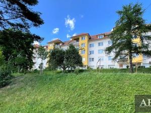 Prodej bytu 2+1, Uherský Brod, V. Růžičky, 60 m2