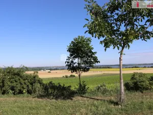 Prodej garáže, Horní Věstonice, U Venuše, 165 m2