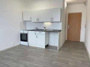 Pronájem bytu 1+1, Litvínov, Školní, 35 m2