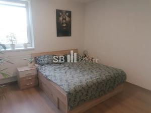 Pronájem bytu 1+1, Šternberk, Masarykova, 49 m2