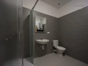 Pronájem bytu 2+kk, Kladno, Jana Palacha, 113 m2