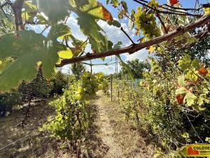 Prodej chaty, Suchohrdly, 30 m2