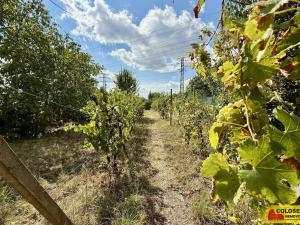 Prodej chaty, Suchohrdly, 30 m2