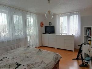 Prodej rodinného domu, Břidličná, U hřiště, 150 m2