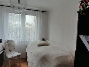 Prodej rodinného domu, Břidličná, U hřiště, 150 m2