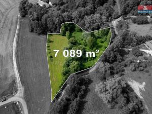 Prodej pozemku pro bydlení, Vlčice, 7089 m2