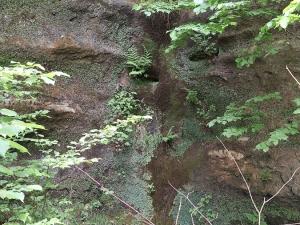 Prodej chaty, Kunratice - Studený, 80 m2