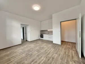 Pronájem bytu 2+1, Opava - Předměstí, Hviezdoslavova, 65 m2