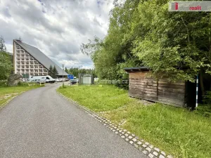 Prodej chaty, Harrachov, 25 m2