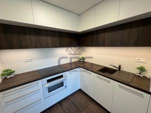 Pronájem bytu 2+kk, Brno - Veveří, Lidická, 54 m2