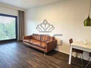 Pronájem bytu 2+kk, Brno - Veveří, Lidická, 54 m2